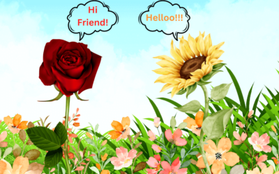 Blossom and Rose: Petals of Friendship