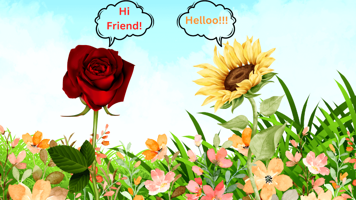 Blossom and Rose Petals of Friendship Aleezah Faraz